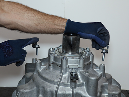 _Graphics/_Raster/IMG_3393.png _Graphics/_Raster/IMG_3393.png