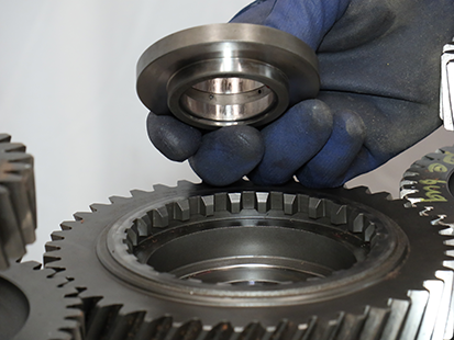 _Graphics/_Raster/TRSM0950_MHR_0477.png _Graphics/_Raster/TRSM0950_MHR_0477.png