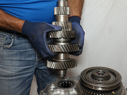 _Graphics/_Raster/TRSM0950_MHR_0488.png _Graphics/_Raster/TRSM0950_MHR_0488.png