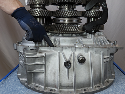 _Graphics/_Raster/TRSM0950_MSEP_7381.png _Graphics/_Raster/TRSM0950_MSEP_7381.png