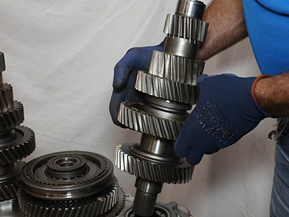 _Graphics/_Raster/TRSM0950_MHR_0484.png _Graphics/_Raster/TRSM0950_MHR_0484.png